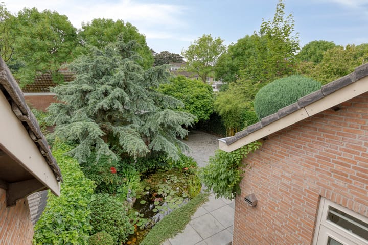 Foto 35 van Hoefblad 28