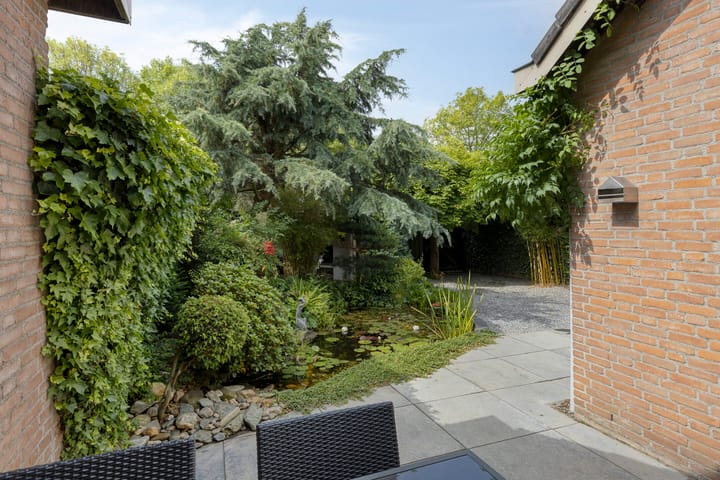 Foto 37 van Hoefblad 28