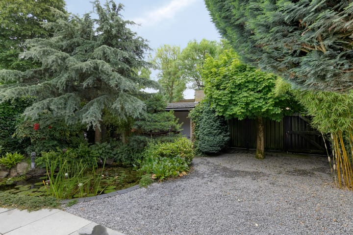 Foto 38 van Hoefblad 28