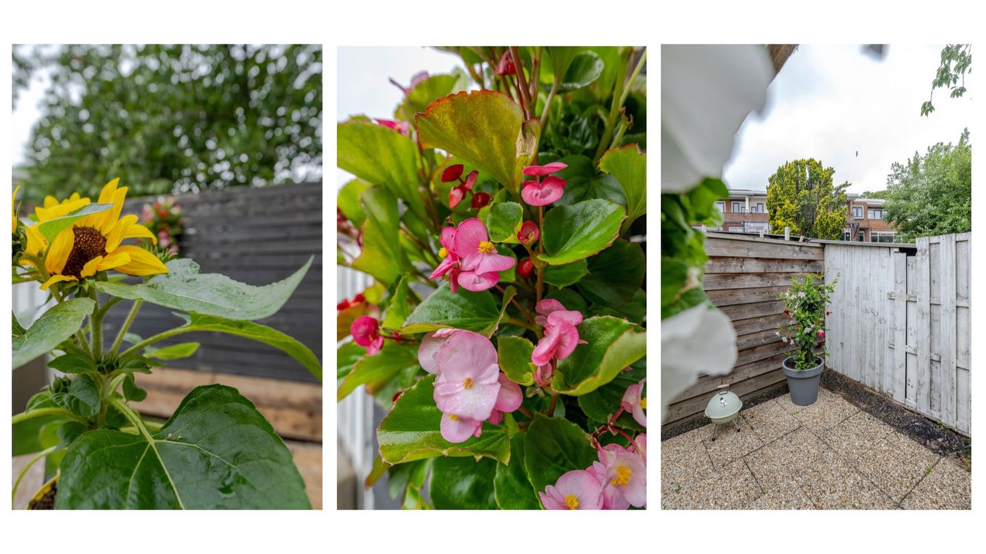 Foto 10 van Bonaventurastraat 23-B