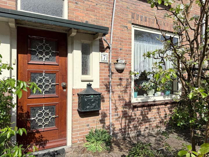 Foto 5 van Ternatestraat 7