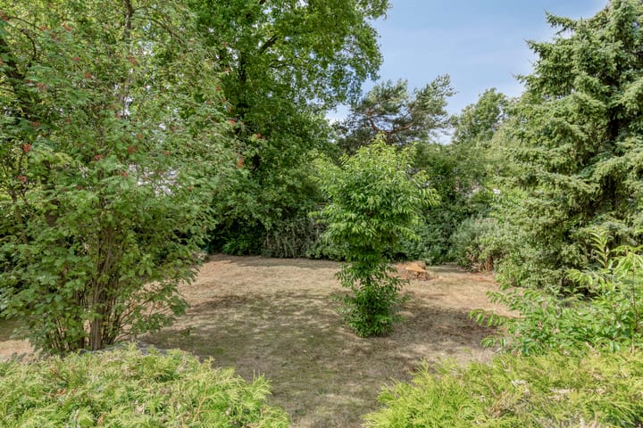 Foto 35 van Mariastraat 9