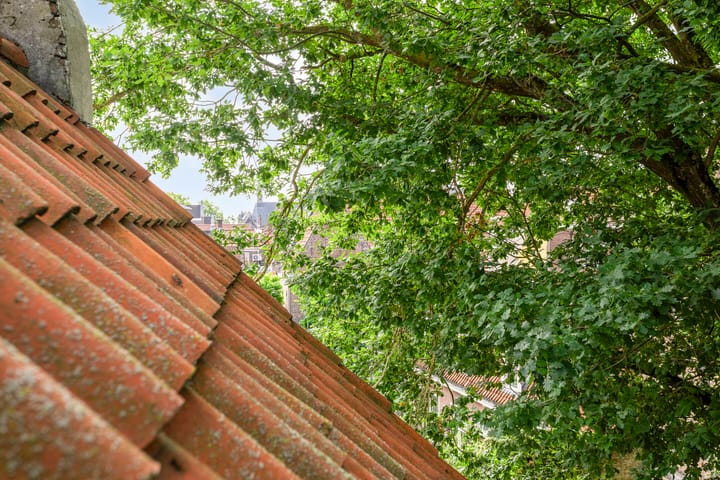 Foto 42 van Treurnietsgang 9