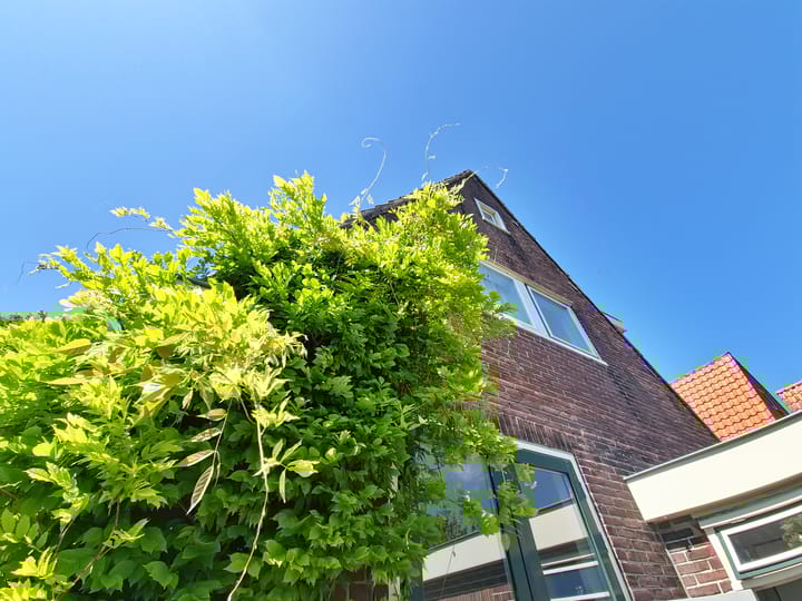 Foto 3 van Purmerenderweg 108