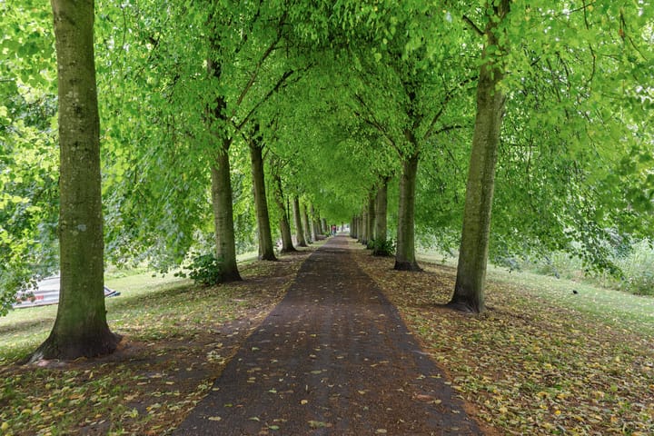 Foto 39 van Bernhardlaan 50