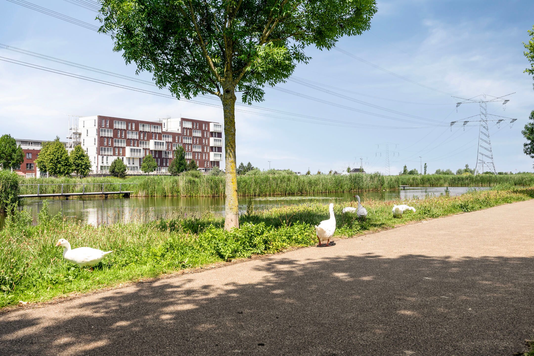 Foto 36 van Bernard Canterstraat 23