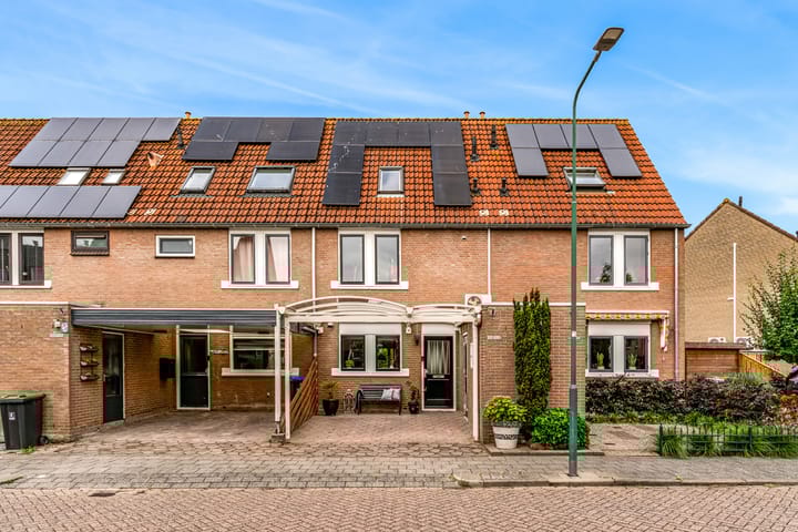 undefined main image