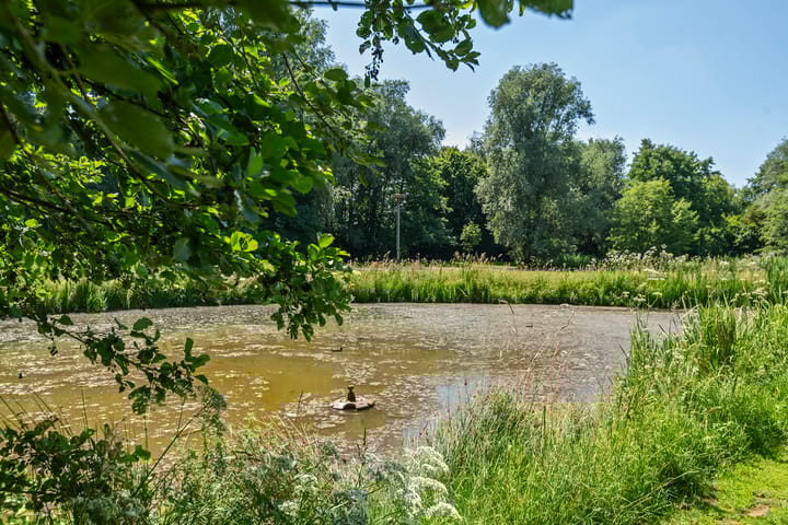 Photo 15 of Essebroek 3