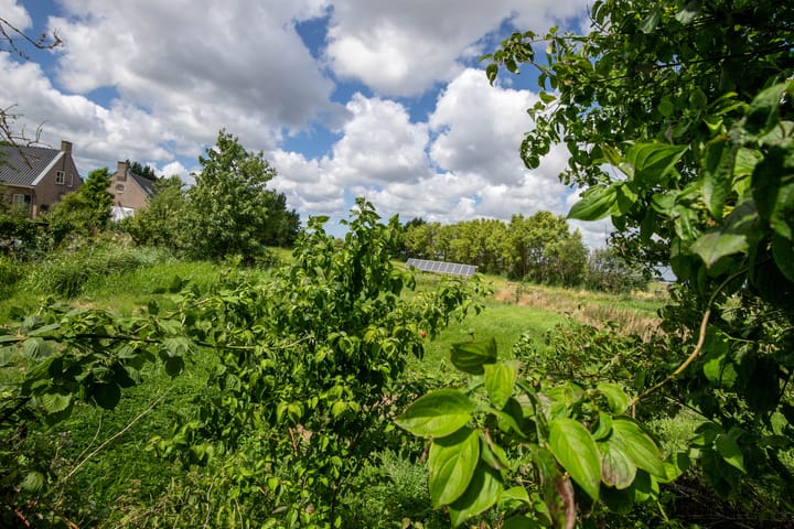 Photo 35 of Jaagpad 18-B