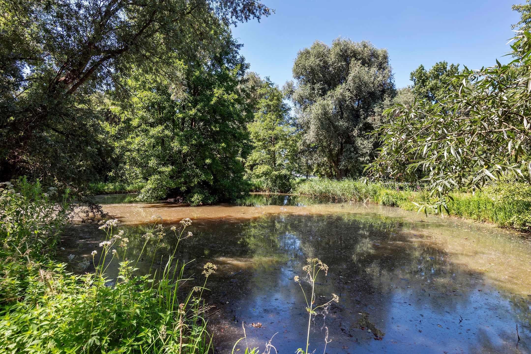 Foto 39 van Essebroek 3