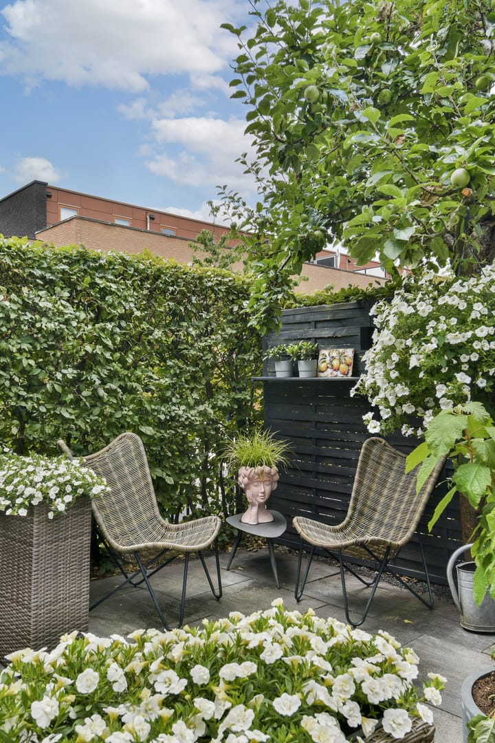 Foto 12 van Piersonstraat 83