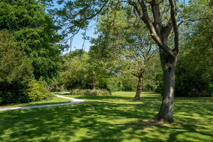 Foto 37 van Violierenweg 3