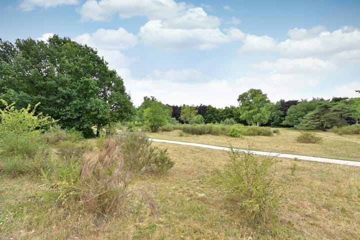 Photo 15 of C. Evertsenstraat 111