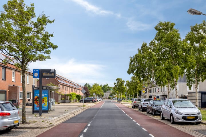 Foto 50 van Salland 9