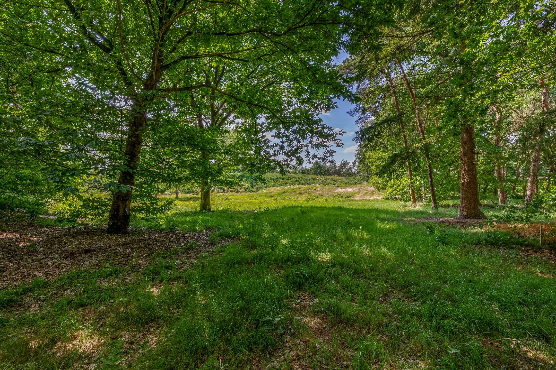 Foto 9 van Nachtegaallaan - bouwnummer 1