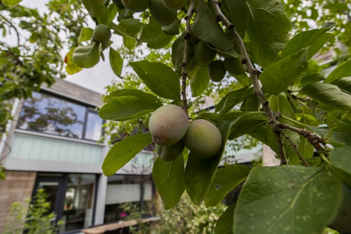 Foto 31 van Monnetlaan 4