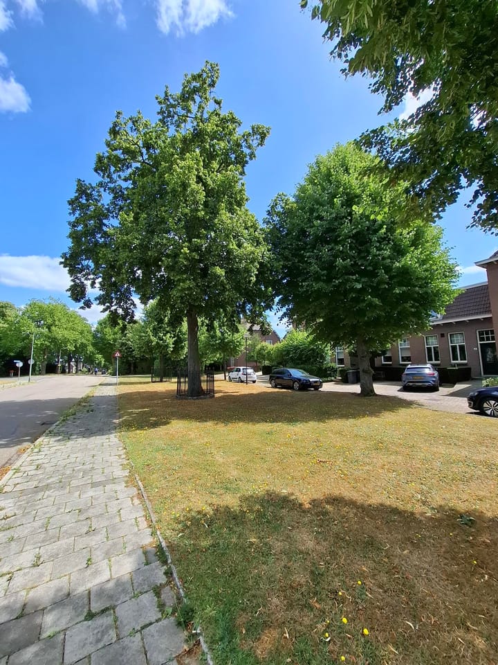 Foto 68 van Treebeekstraat 22