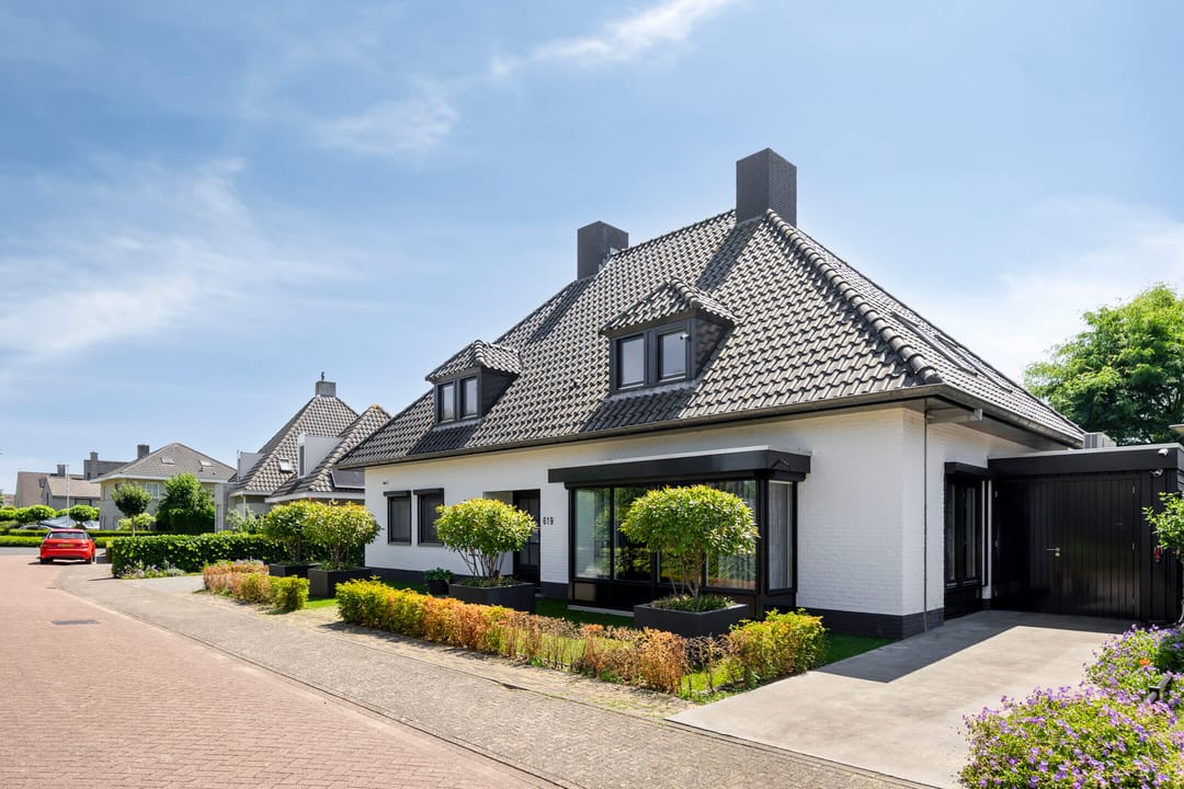 Foto 2 van Spoorven 619