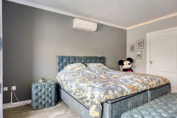 Foto 19 van Spoorven 619