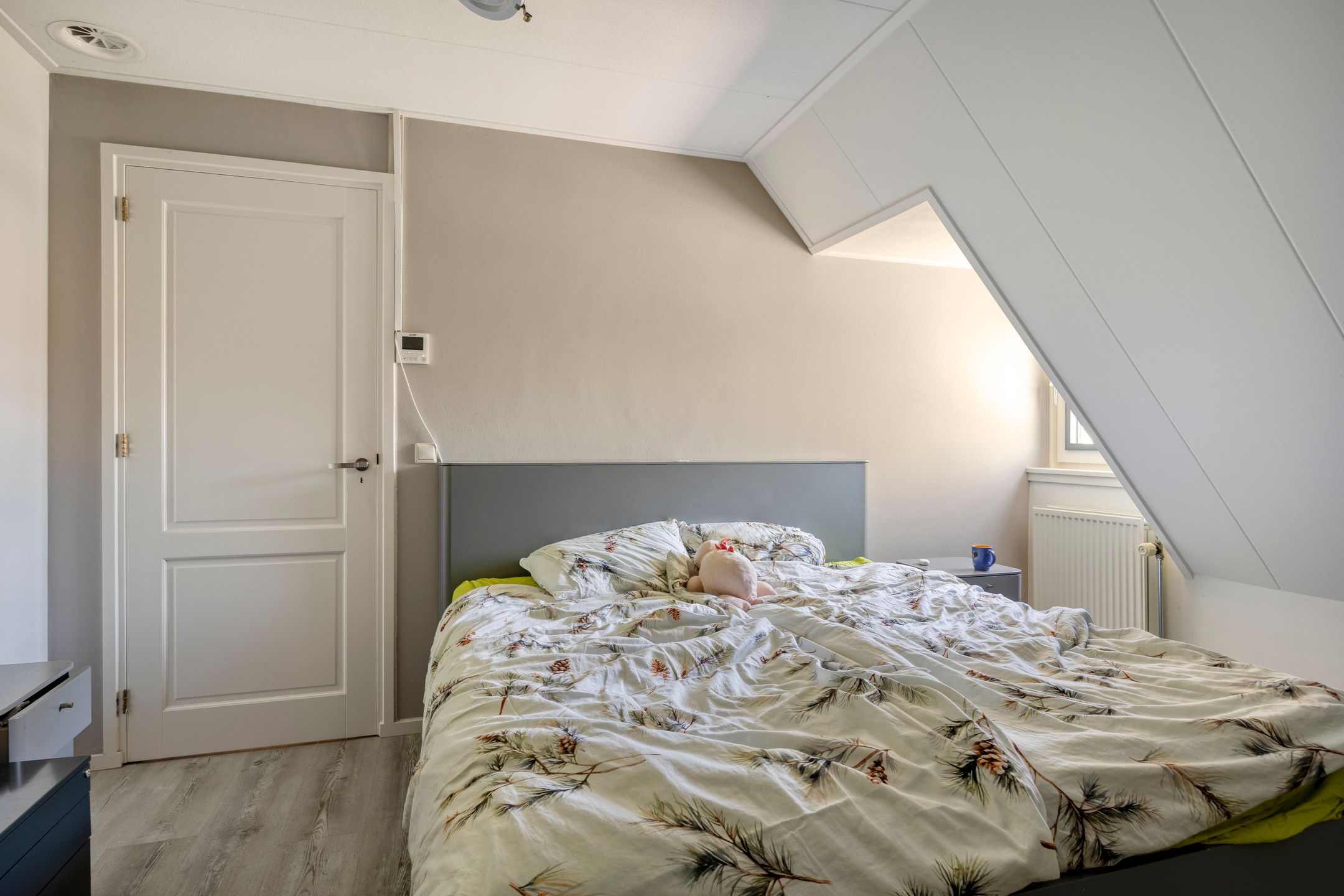 Foto 36 van Spoorven 619