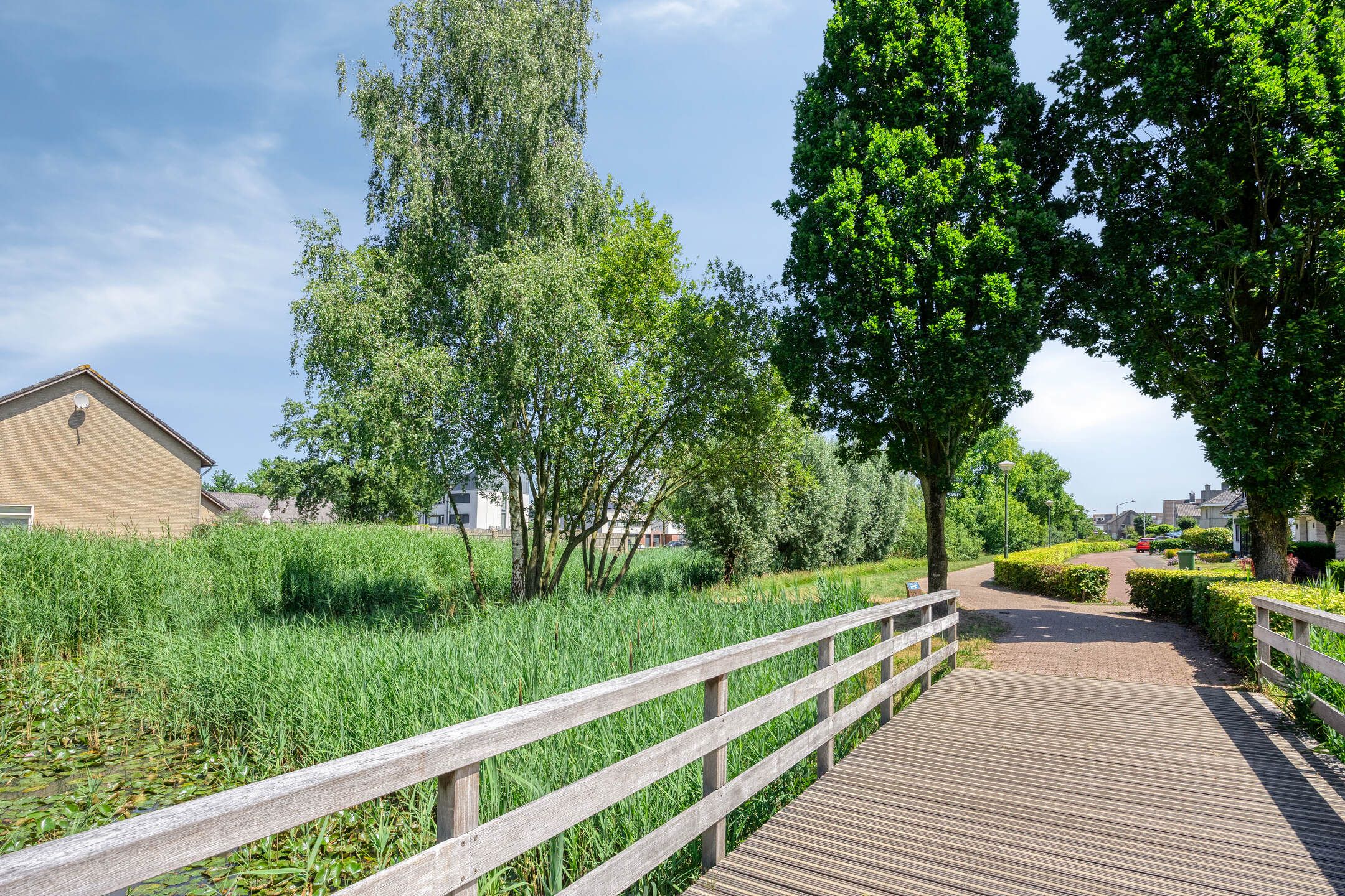 Foto 51 van Spoorven 619