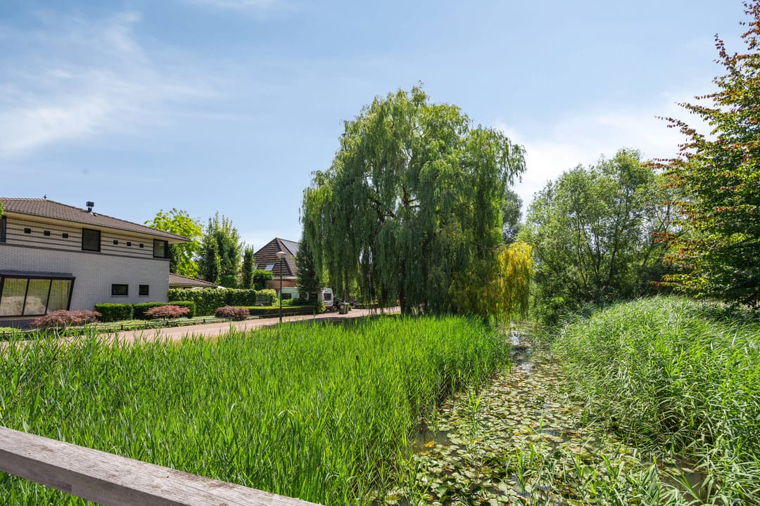 Foto 52 van Spoorven 619