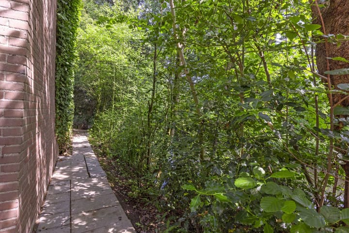 Foto 21 van Trilgras 30