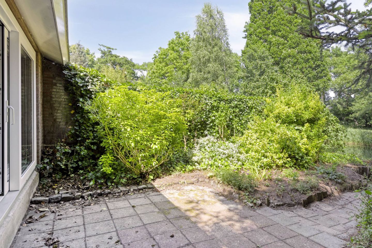 Foto 25 van Trilgras 30