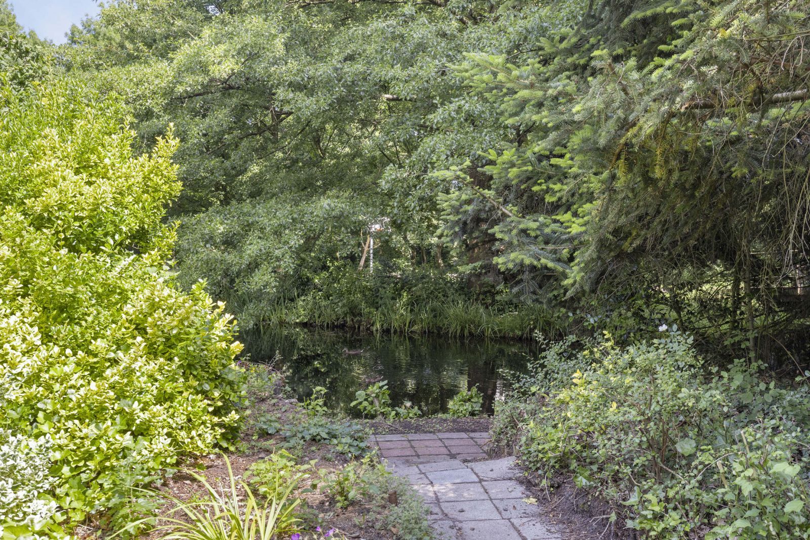 Foto 27 van Trilgras 30