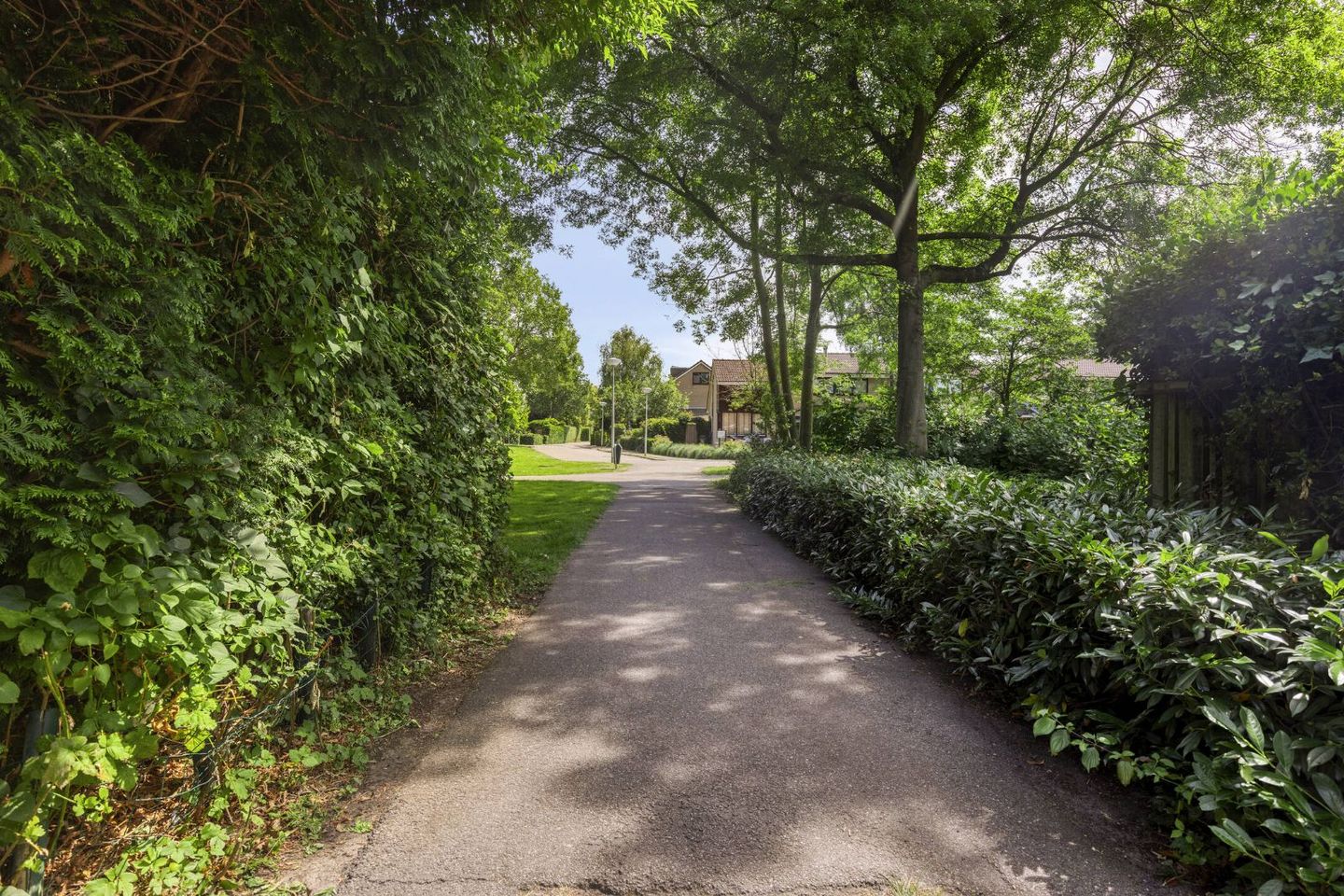 Foto 29 van Trilgras 30