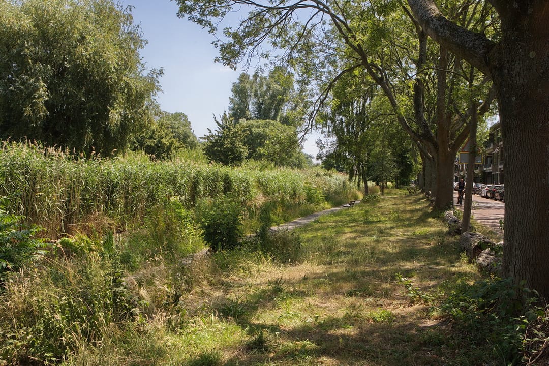 Foto 32 van Rooseboomstraat 53