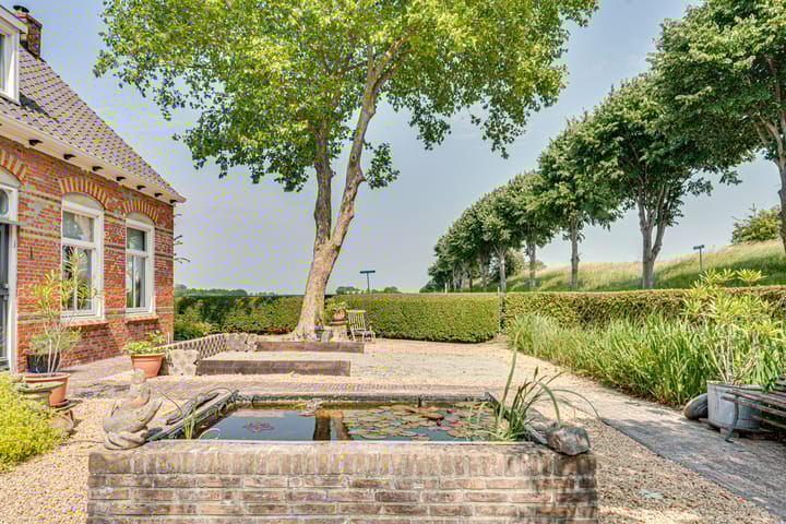 Foto 66 van Eerste Dijk 4