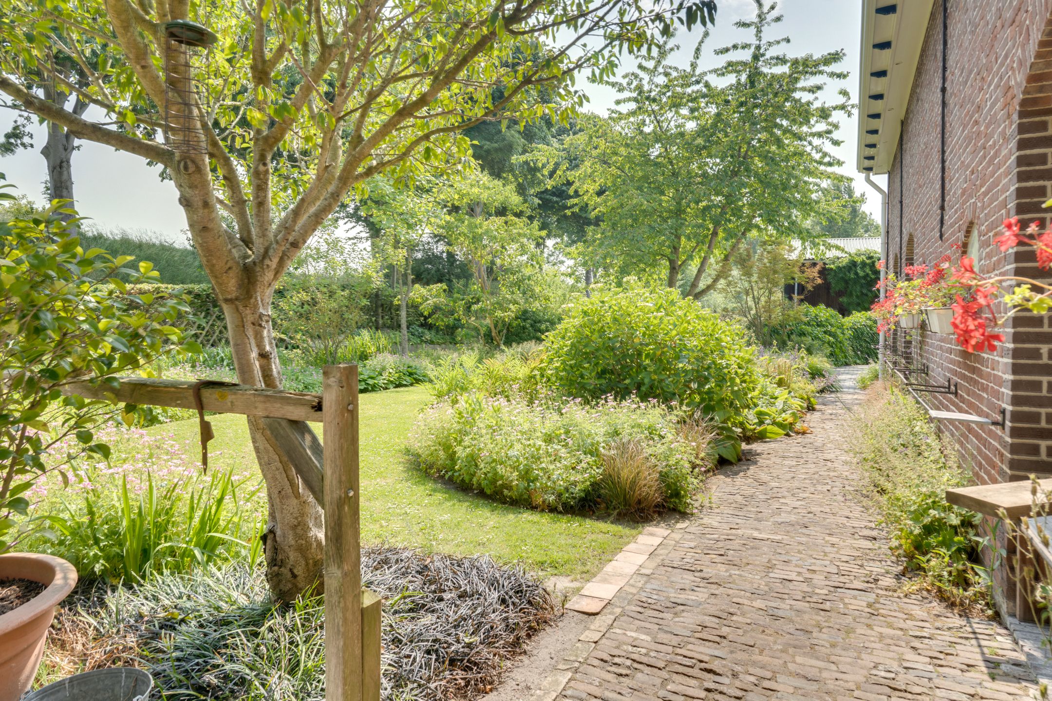 Foto 69 van Eerste Dijk 4