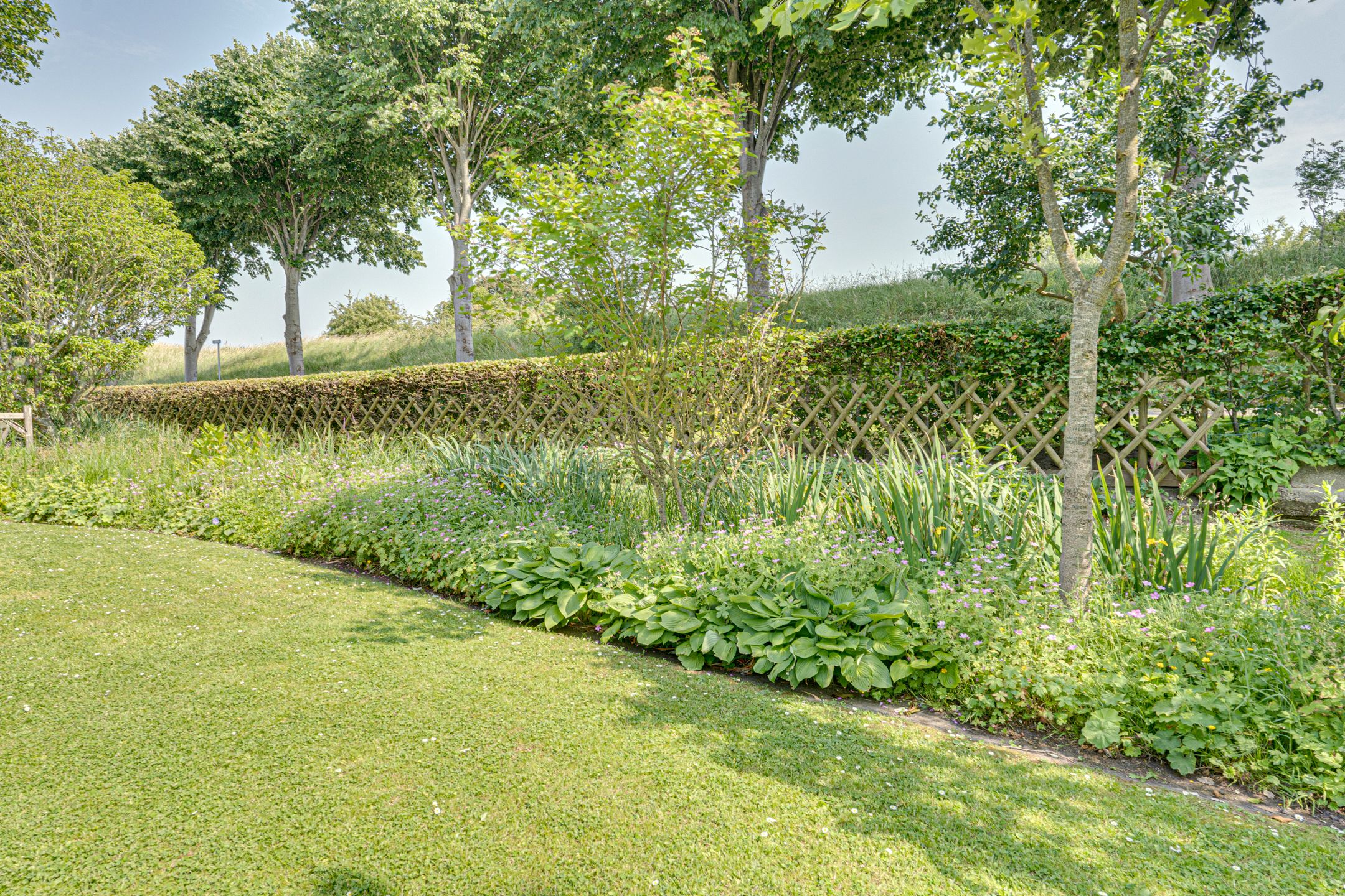 Foto 72 van Eerste Dijk 4