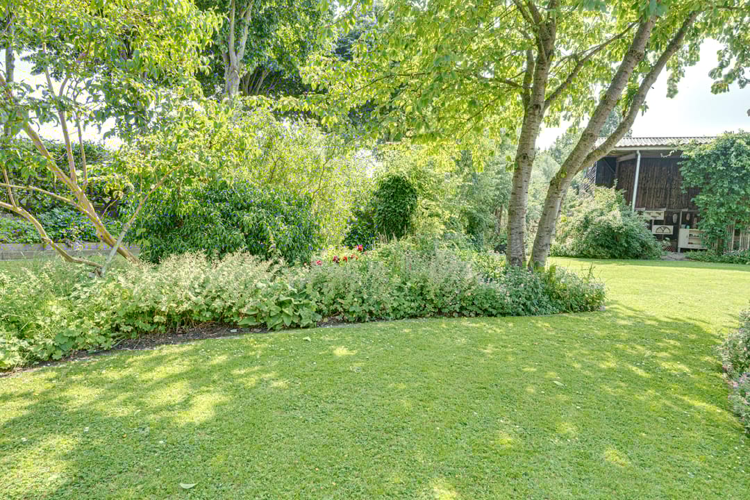 Foto 73 van Eerste Dijk 4