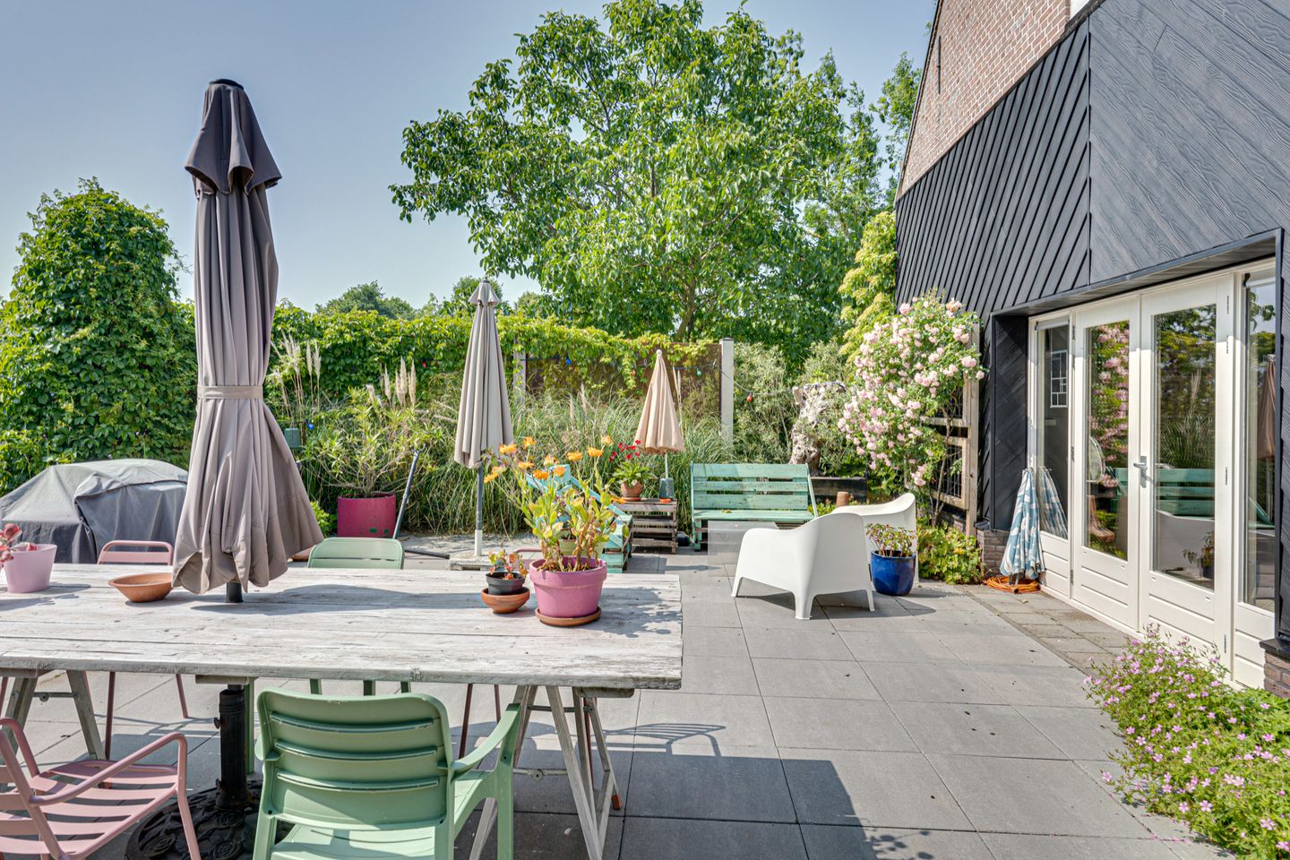 Foto 79 van Eerste Dijk 4