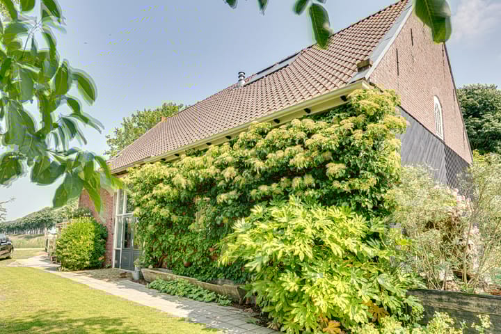 Foto 82 van Eerste Dijk 4