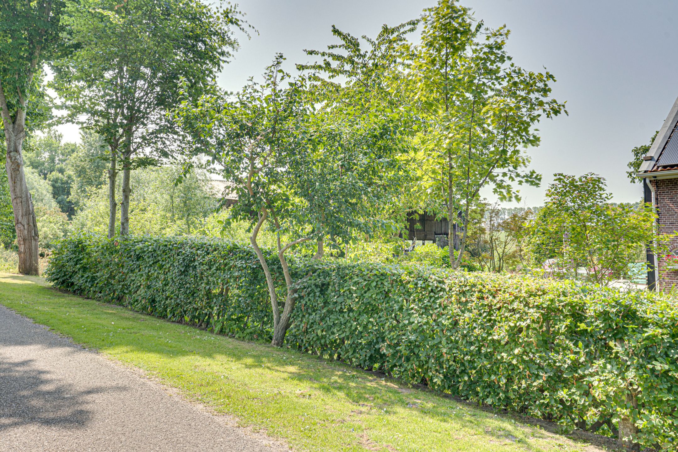 Foto 90 van Eerste Dijk 4