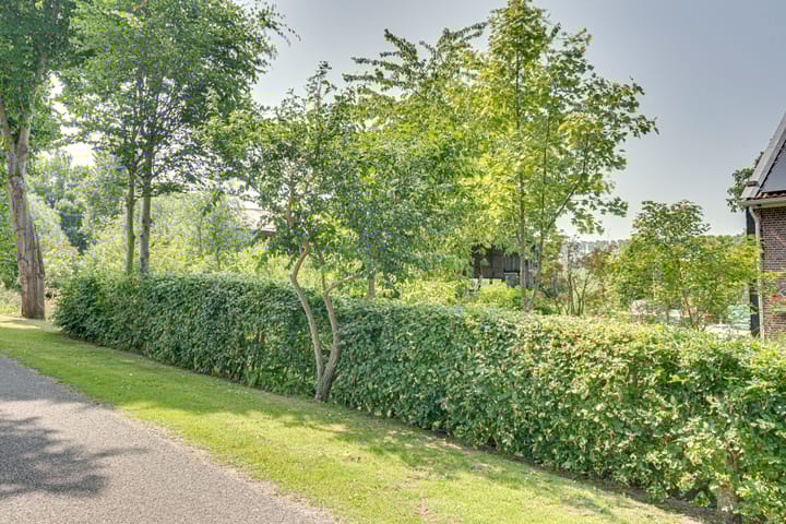 Foto 90 van Eerste Dijk 4