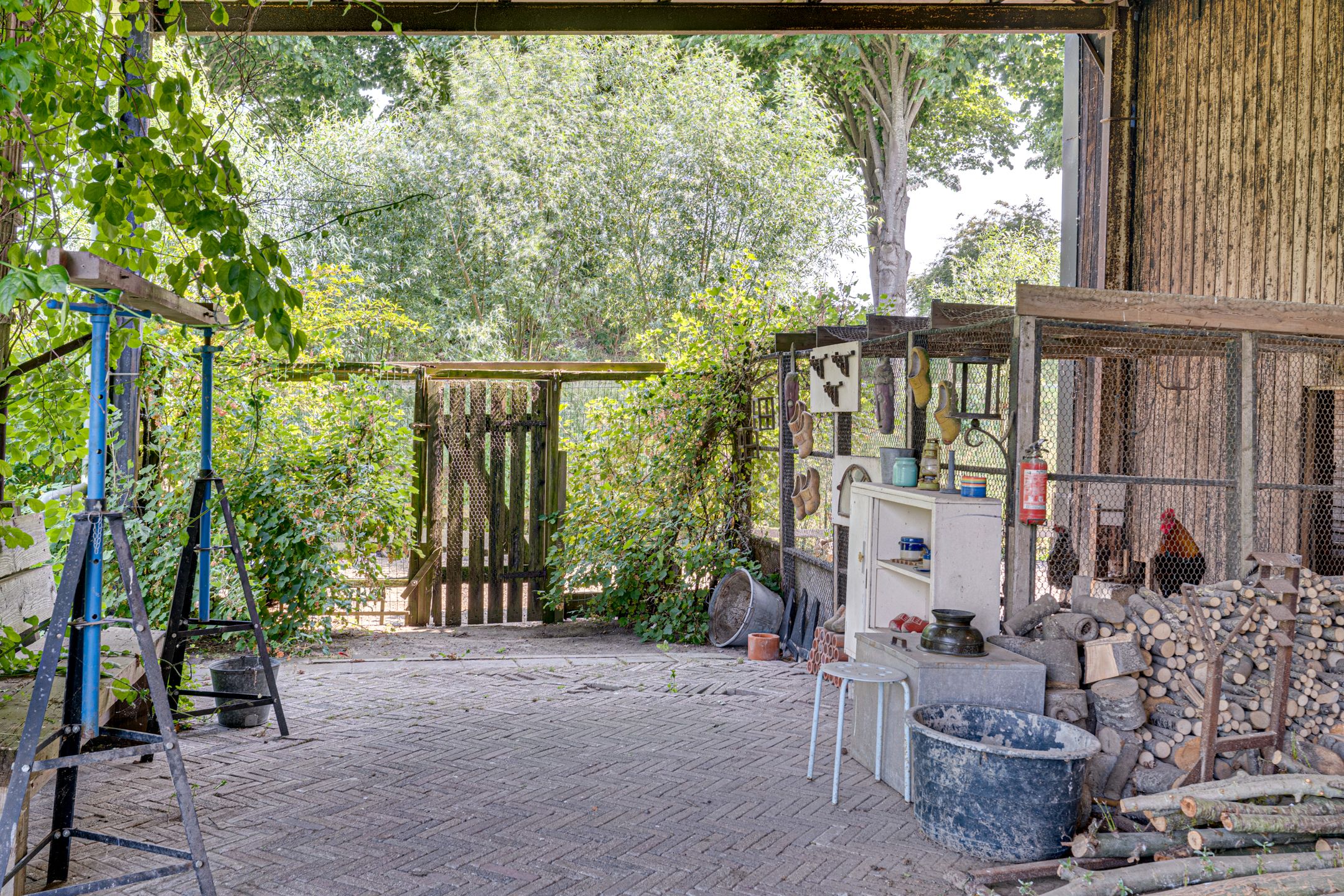 Foto 93 van Eerste Dijk 4