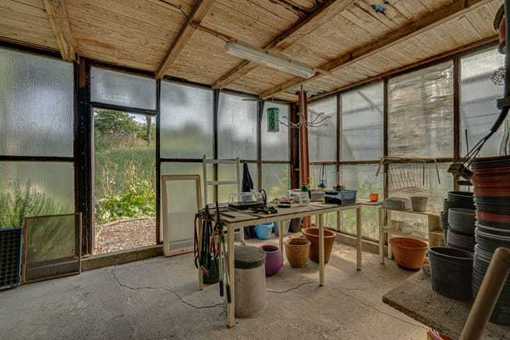 Foto 97 van Eerste Dijk 4