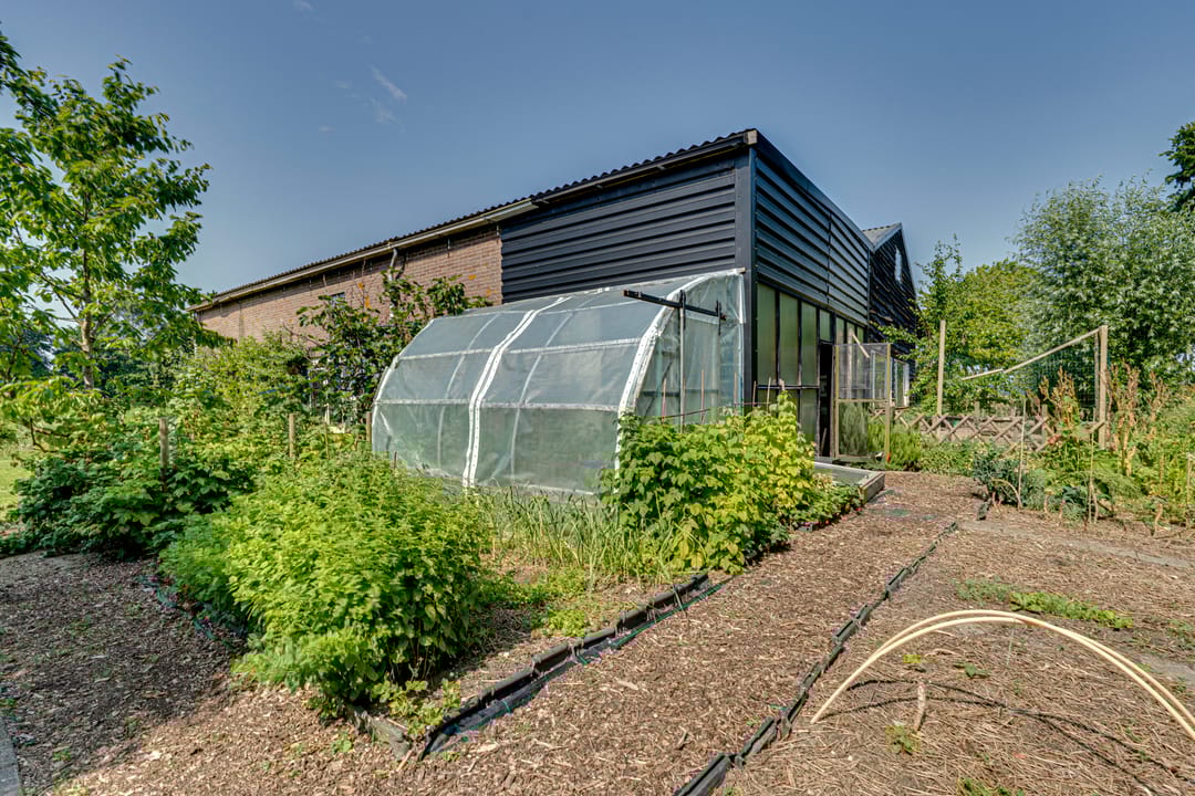 Foto 98 van Eerste Dijk 4