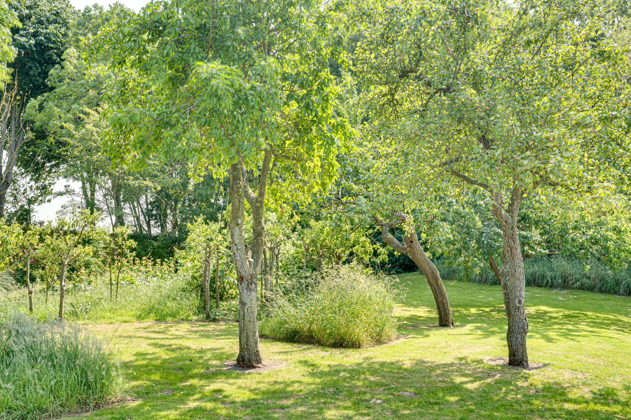 Foto 99 van Eerste Dijk 4