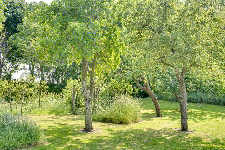 Foto 99 van Eerste Dijk 4