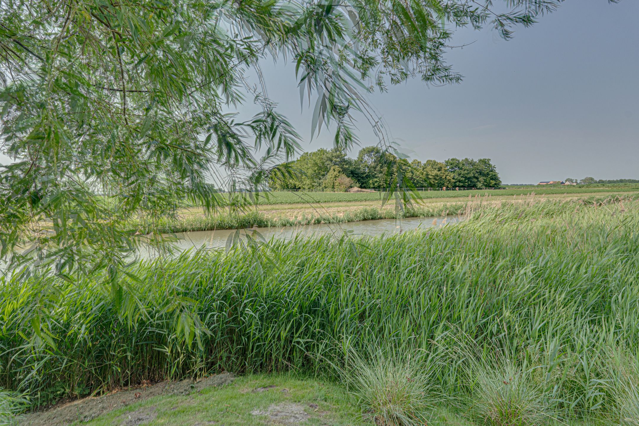 Foto 102 van Eerste Dijk 4