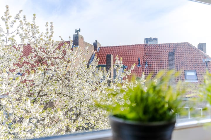 Foto 15 van Willem de Zwijgerstraat 30-B