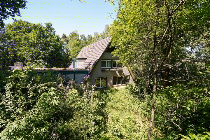 Foto 1 van Borgersstede 6