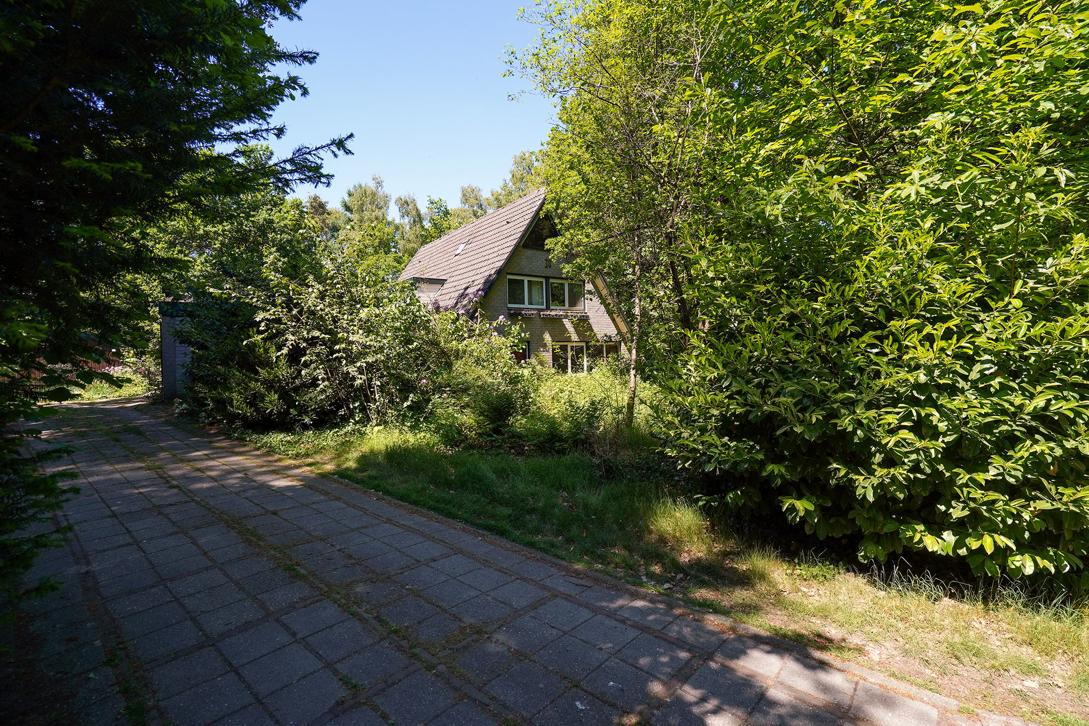 Foto 30 van Borgersstede 6