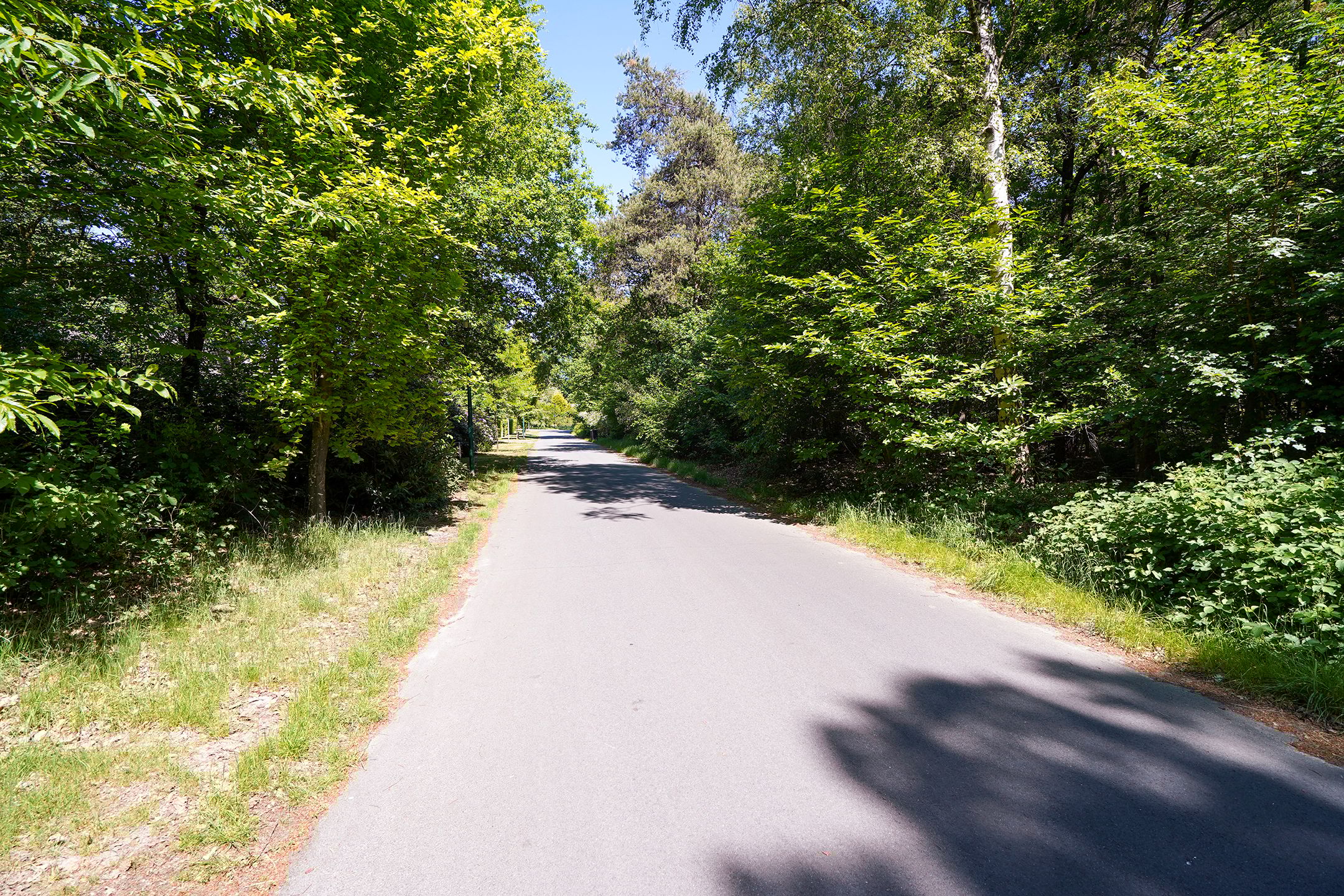 Foto 33 van Borgersstede 6