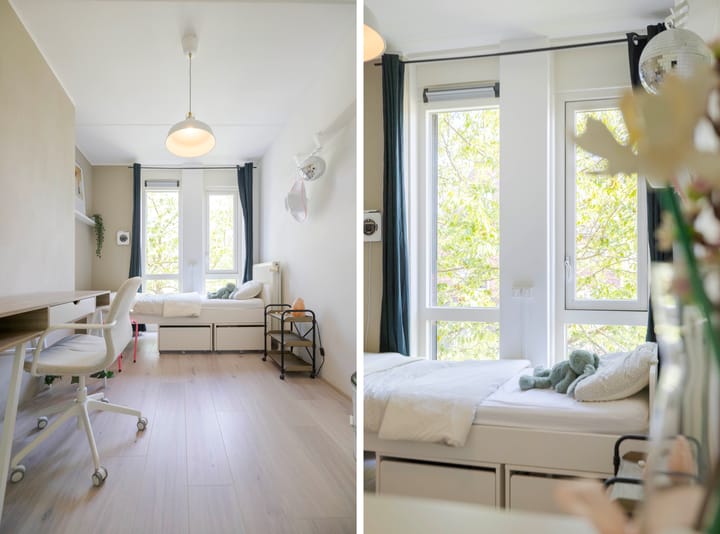 Foto 29 van Timmerhout 28